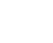 Evolution games at Wild Vegas Casino
